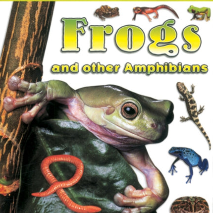 Frogs and Other Amphibians