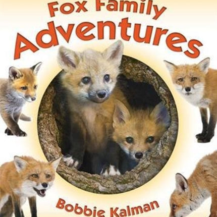 Fox Family Adventures