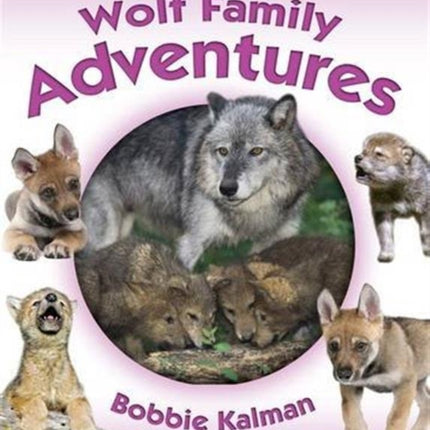 Wolf Family Adventures