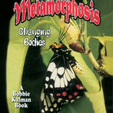 Metamorphosis: Changing Bodies