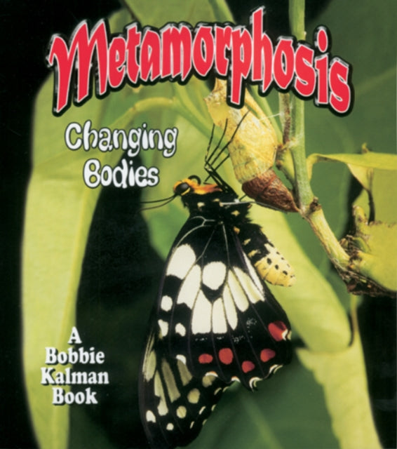 Metamorphosis: Changing Bodies