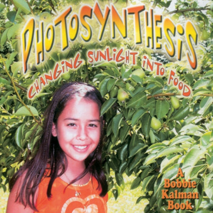 Photosynthesis Changing Sunlight to Food Natures Changes