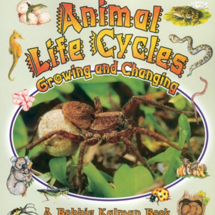 Animal Life Cycles: Growing and Changing