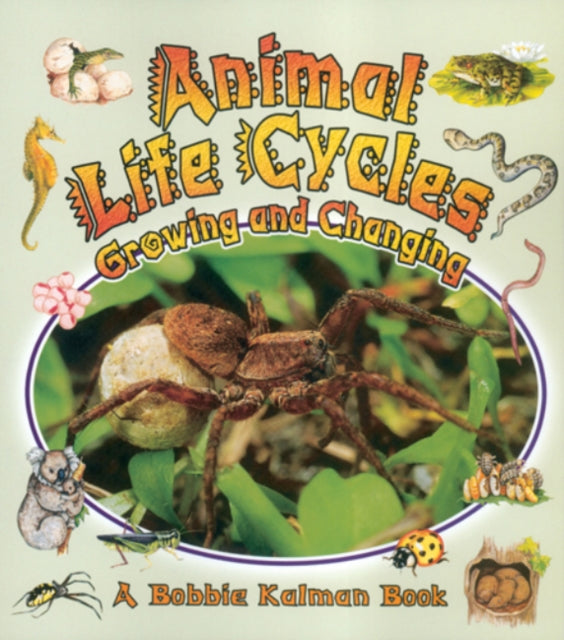 Animal Life Cycles: Growing and Changing