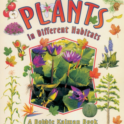 Plants in Different Habitats Natures Changes