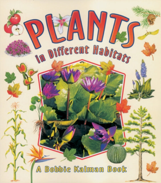 Plants in Different Habitats Natures Changes
