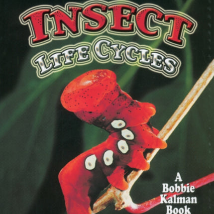 Insect Life Cycles