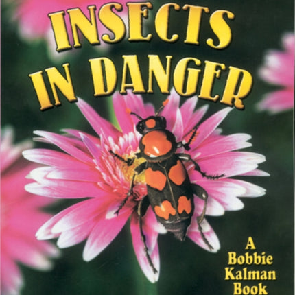 Insects in Danger