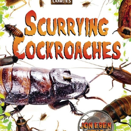 Scurrying Cockroaches 5 Creepy Crawlies