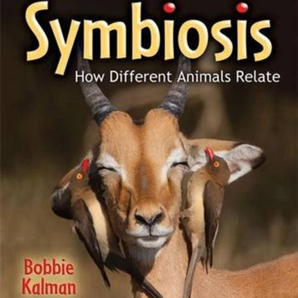 Symbiosis How Different Animals Relate Big