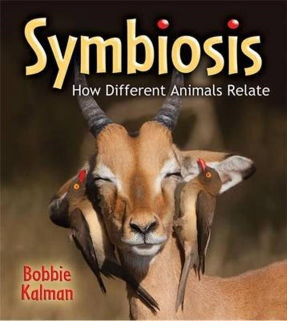 Symbiosis How Different Animals Relate Big
