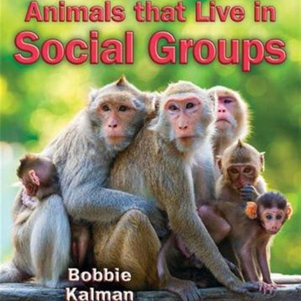 Animals That Live in Social Groups Big Science