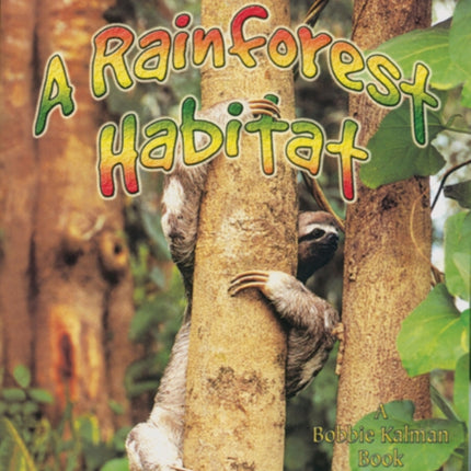 A Rainforest Habitat