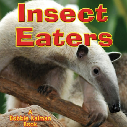 Insect Eaters