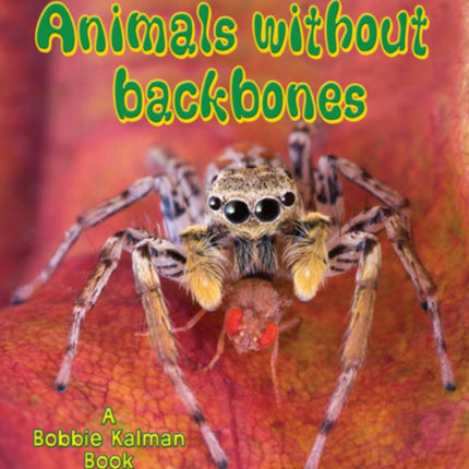 Animals Without Backbones Big Science Ideas