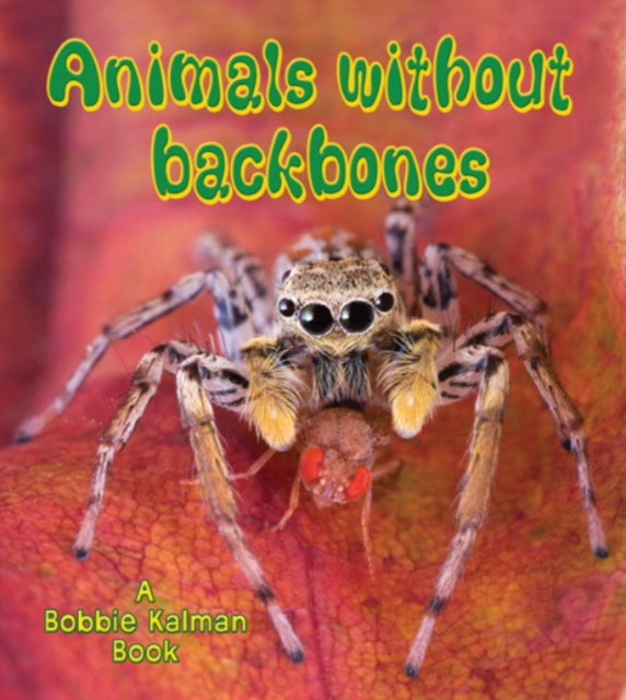 Animals Without Backbones Big Science Ideas