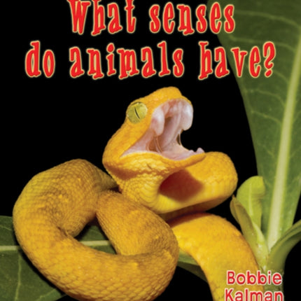 What Senses Do Animals Have