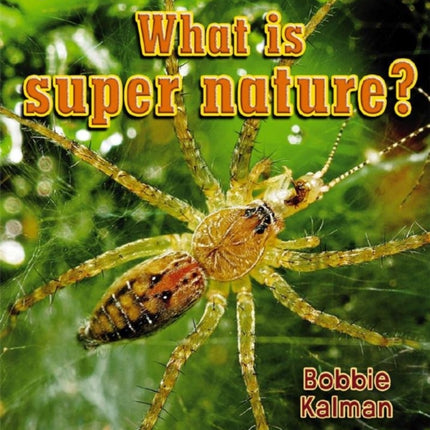 What is super nature?