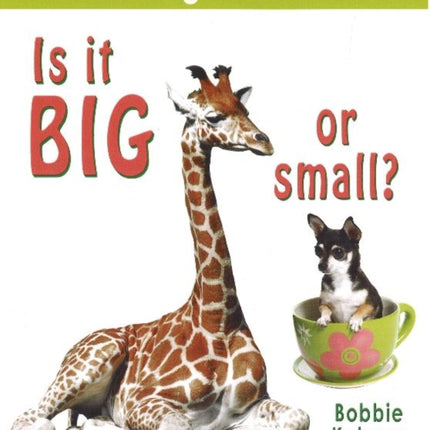 Is It Big or Small?