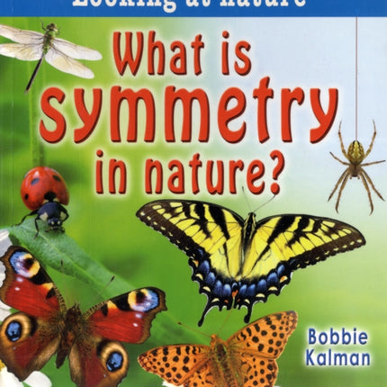 What is symmetry in nature