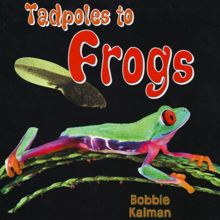 Tadpoles to Frogs