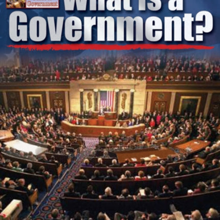 What is a Government
