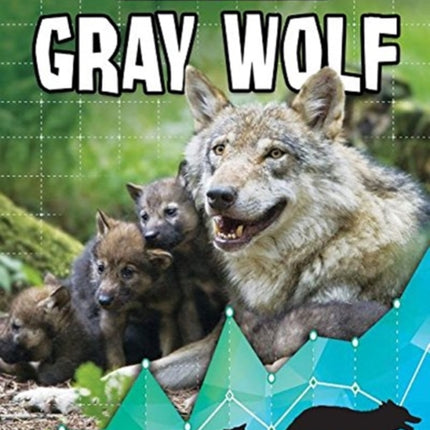 Gray Wolf: Bringing Back The