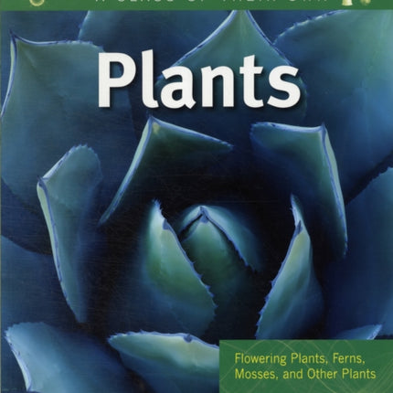 Plants Flowering Plants Ferns Mosses and Other