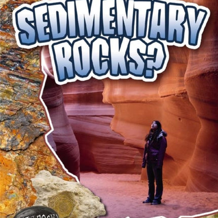 What are Sedimentary Rocks 3 Lets Rock