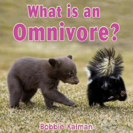 What is an Omnivore