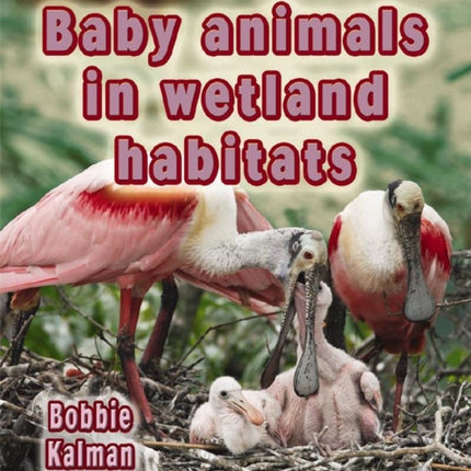Baby Animals in Wetland Habitats Habitats of Baby