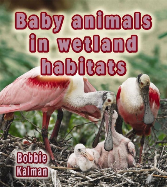 Baby Animals in Wetland Habitats Habitats of Baby