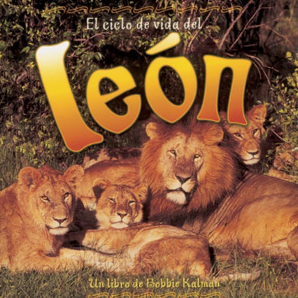El Ciclo de Vida del Leon Ciclo De Vida S