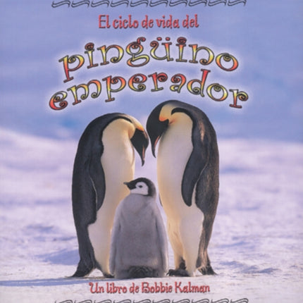 El Ciclo De Vida Del Pinguino Emperador Life