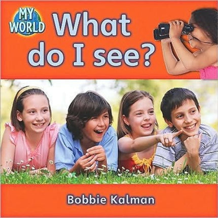 What do I see?: Looking in My World