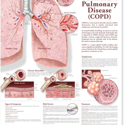 Chronic Obstructive Pulmonary Disease Anatomical