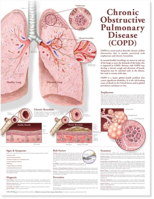 Chronic Obstructive Pulmonary Disease Anatomical