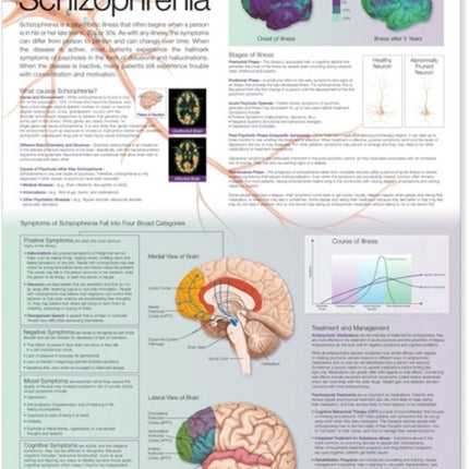 Understanding Schizophrenia Anatomical Chart