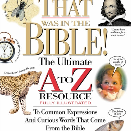 I Never Knew That Was in the Bible