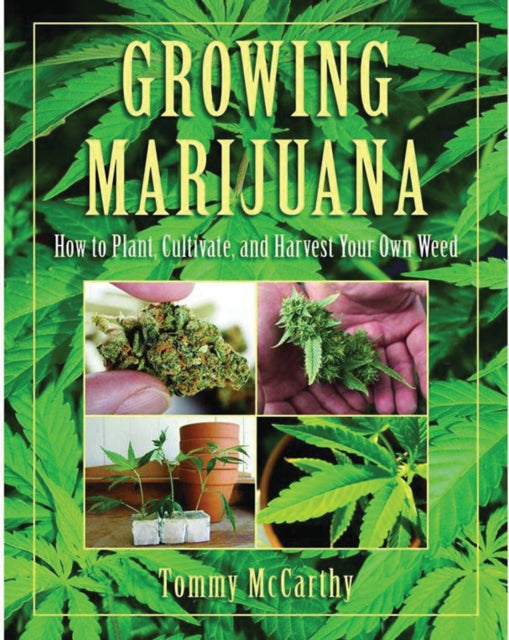 Growing Marijuana How to Plant Cultivate and Harvest Your Own Weed