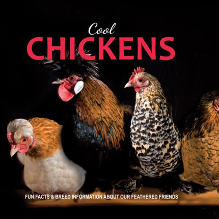 Cool Chickens