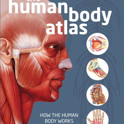 The Human Body Atlas How the Human Body Works