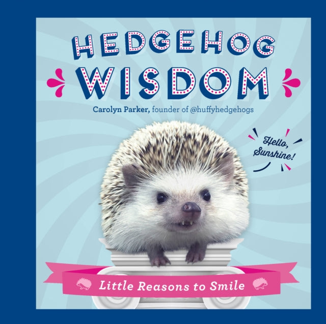 Hedgehog Wisdom Little Reasons to Smile