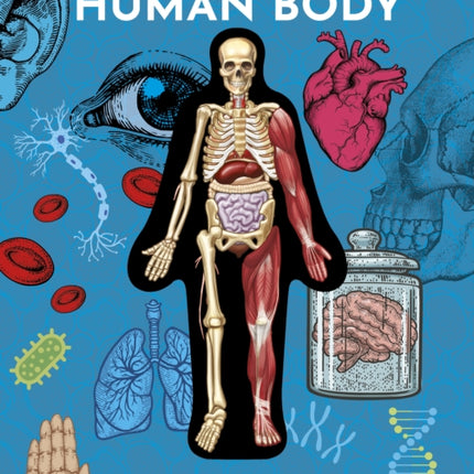 Inside Out Human Body