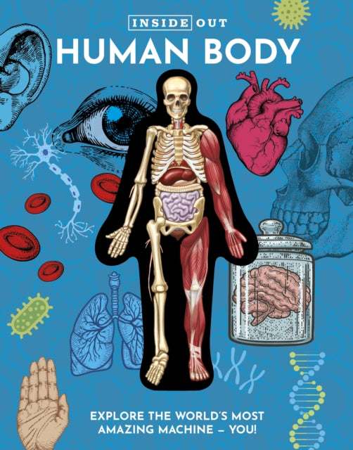 Inside Out Human Body