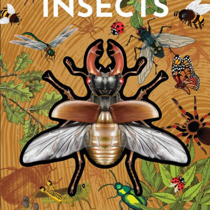 Inside Out Insects
