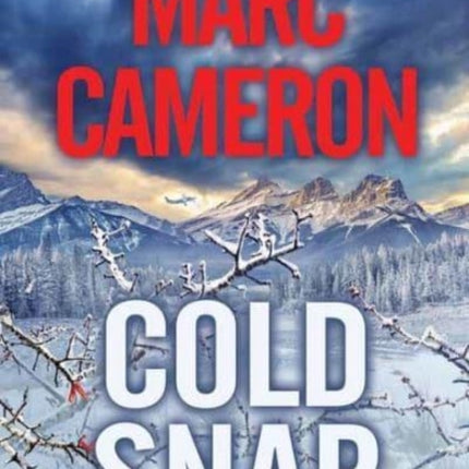 Cold Snap: An Action Packed Novel of Suspense