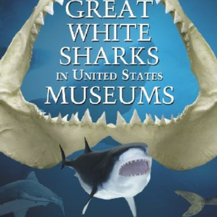 Great White Sharks in United States Museums
