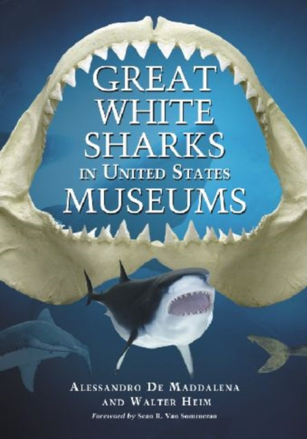Great White Sharks in United States Museums