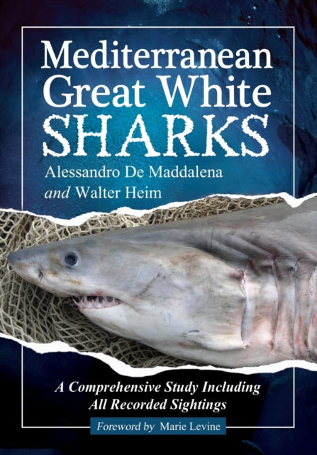 Mediterranean Great White Sharks A Comprehensive